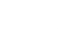 Worley logo hvit